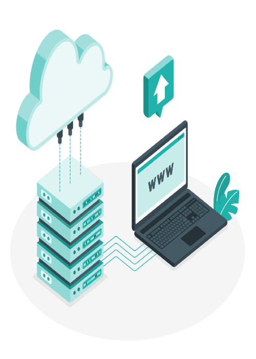 Unlock Seamless Performance with Nexi Bloom's Hosting Solutions