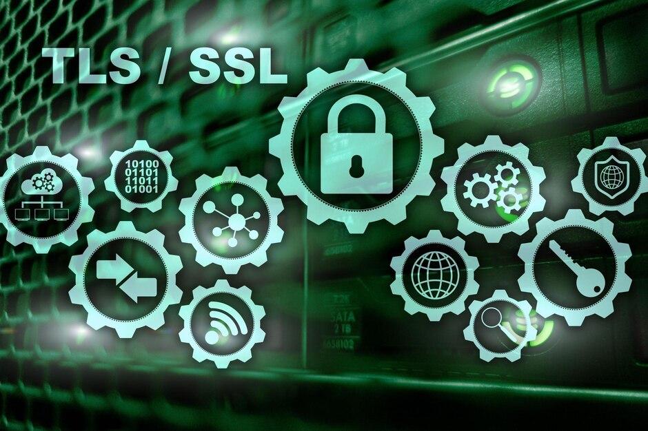 The Importance of SSL Certificates for Website Security in 2025